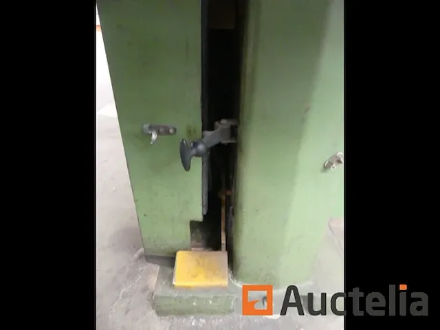 Lintzaag guillet mod - afbeelding 22 van  24