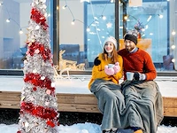 Liropau kunstkerstboom - afbeelding 1 van  5