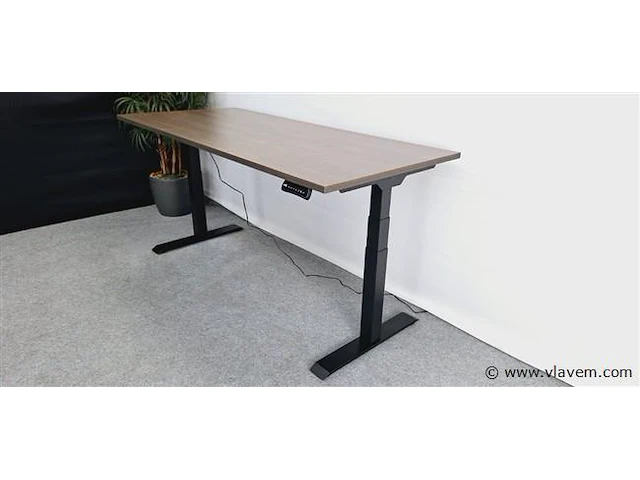 Loctek - et223 - zit-sta bureau (nieuw) - afbeelding 11 van  11