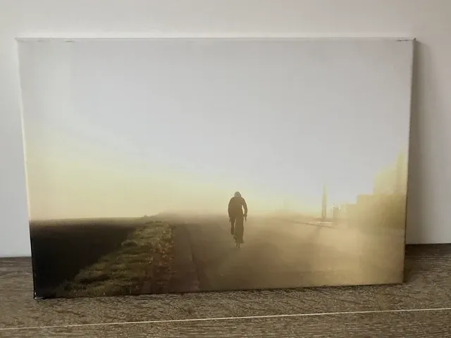 Lode baele - uit de mist opduikende wielrenner - afbeelding 1 van  1