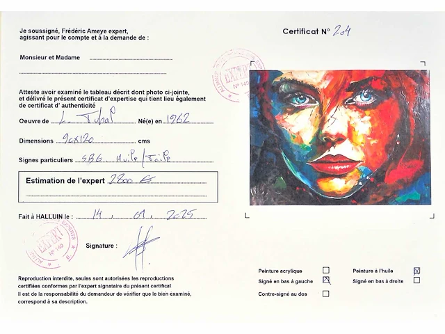 Loîc tuhal - visage - olie op doek - afbeelding 6 van  11