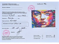 Loïc tuhal (1962 -) - origineel, groot - afbeelding 3 van  9