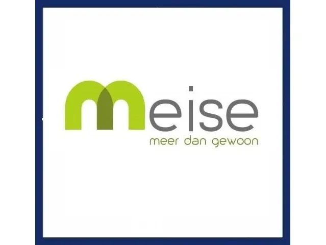 Lokaal bestuur - meise