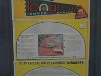 Longrow koepelvormige miniserre - afbeelding 2 van  3
