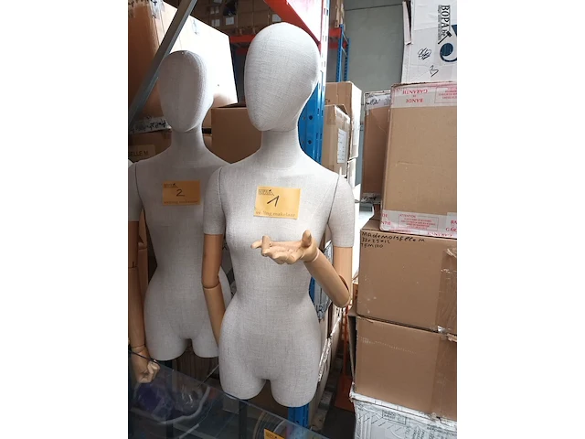 Lot 1 - mannequin pop - afbeelding 1 van  3