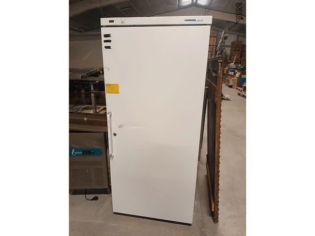 Lot 10 - professionele diepvriezer liebherr - afbeelding 1 van  4