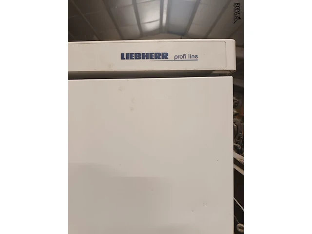 Lot 10 - professionele diepvriezer liebherr - afbeelding 2 van  4