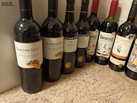 Lot 102 - flessen wijn. 14 stuks - afbeelding 2 van  5