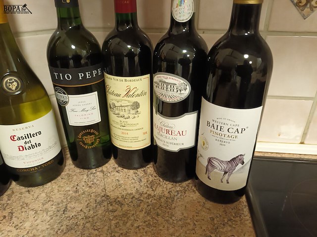 Lot 102 - flessen wijn. 14 stuks - afbeelding 5 van  5