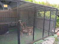 Lot 102 - metalen hondenren met dak - afbeelding 4 van  7