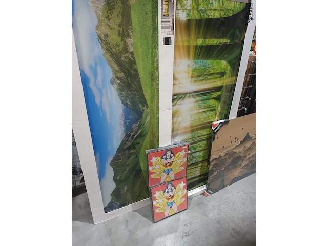 Lot 104 - kaders en canvassen. 17 stuks - afbeelding 6 van  6