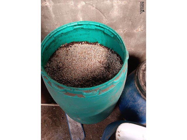 Lot 11 - dierenvoeding - afbeelding 3 van  4