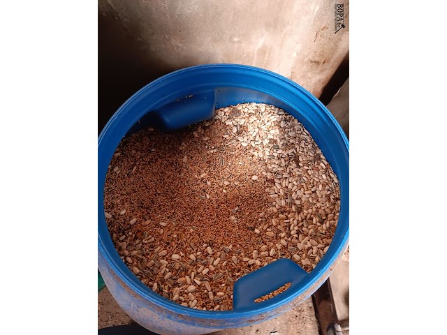 Lot 11 - dierenvoeding - afbeelding 4 van  4