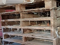 Lot 1121 - houten palletten - afbeelding 3 van  3