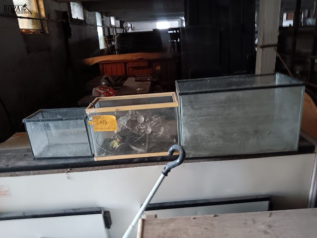 Lot 114 - aquarium. 3 stuks - afbeelding 1 van  1