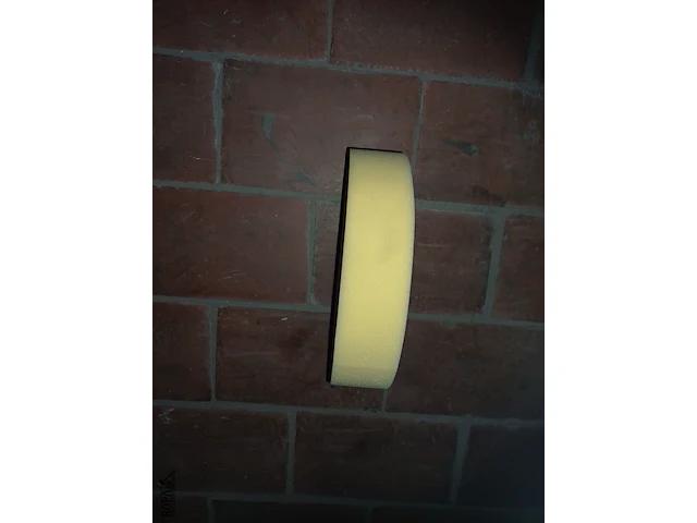 Lot 1153 - moussen - afbeelding 3 van  7
