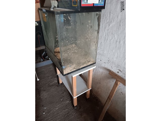 Lot 117 - terrarium met tafel - afbeelding 2 van  2