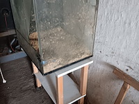 Lot 117 - terrarium met tafel - afbeelding 2 van  2