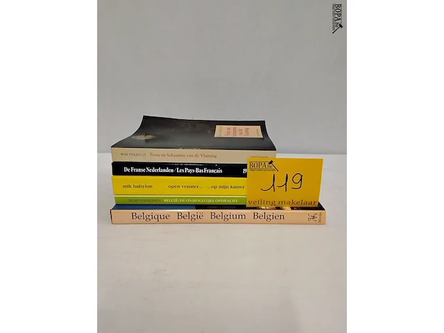Lot 119 - lot boeken, belgië politiek, 5 stuks - afbeelding 1 van  1