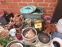 Lot 126 - bloempotten. 40 stuks - afbeelding 3 van  4