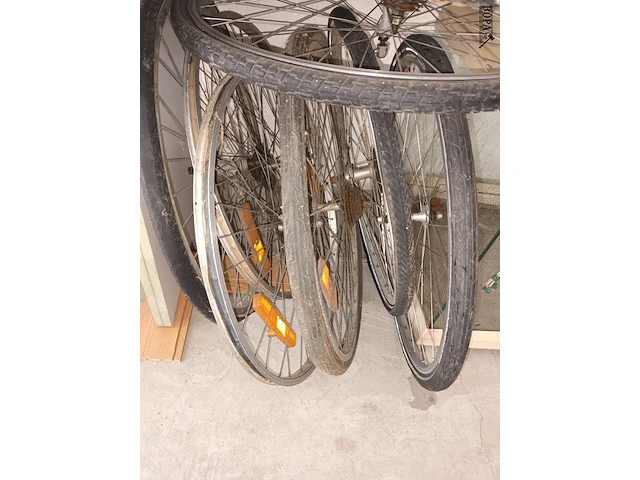 Lot 13 - fietswielen. 8 stuks - afbeelding 2 van  3