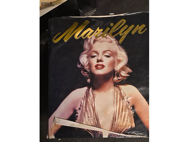 Lot 13 - marilyn monroe boeken en kader en prent - afbeelding 5 van  8