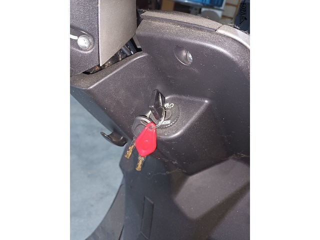 Lot 13 - scooter pandora - afbeelding 8 van  8