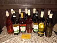 Lot 13 - wijnen - 13 flessen - afbeelding 1 van  2