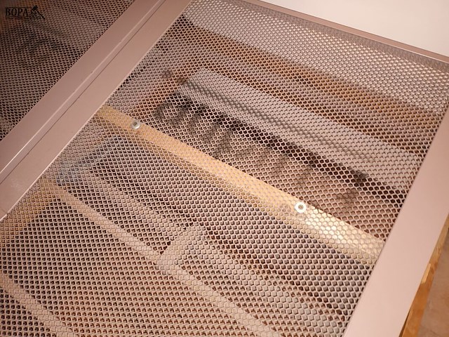 Lot 137 - tweepersoonsbed - afbeelding 5 van  6