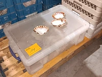 Lot 14 - coquille schelpen 120 stuks - afbeelding 1 van  2