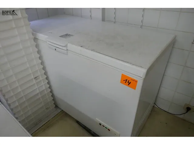 Lot 14 - vrieskist + inhoud - afbeelding 1 van  4