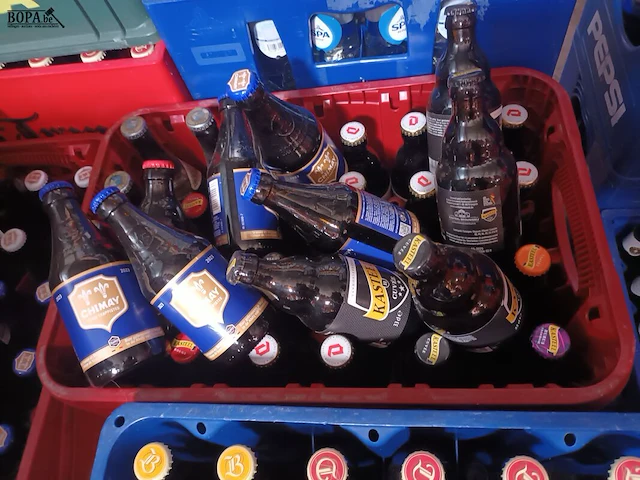 Lot 15 - bakken met bier en frisdrank. 18 stuks - afbeelding 6 van  7