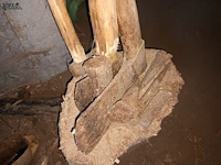 Lot 153 - kapblok, klievers en bijlen. 8 stuks - afbeelding 3 van  3