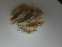 Lot 154 - limoges borden met vogels. 12 stuks - afbeelding 5 van  7