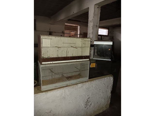 Lot 157 - terrariums en vogelkooien. 4 stuks - afbeelding 1 van  2