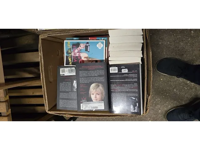 Lot 16 - doos boeken - afbeelding 1 van  2