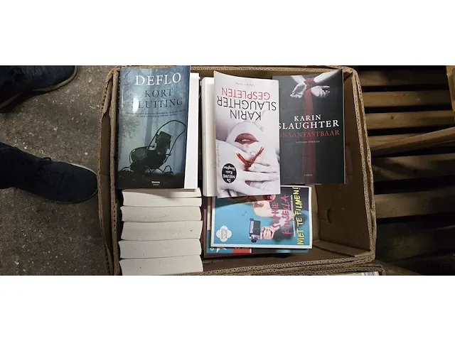 Lot 16 - doos boeken - afbeelding 2 van  2