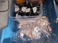 Lot 16 - voeding - afbeelding 2 van  4