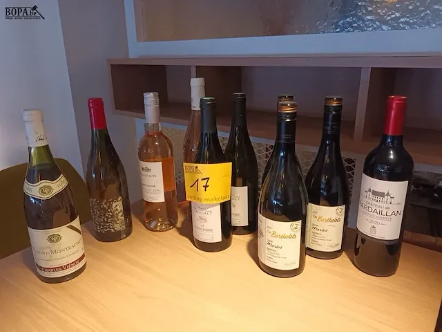 Lot 17 - flessen wijn. 10 stuks - afbeelding 1 van  3
