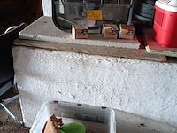 Lot 172 - kooi met dierenbenodigdheden - afbeelding 1 van  5