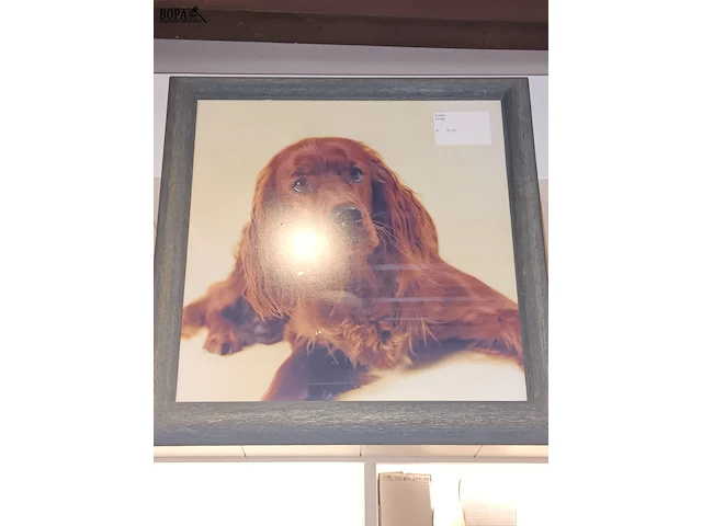 Lot 173 - schaal en kaders. 4 stuks - afbeelding 6 van  6