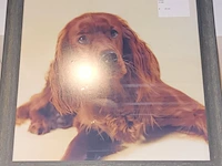 Lot 173 - schaal en kaders. 4 stuks - afbeelding 6 van  6