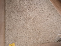 Lot 18 - hoogpolig vloertapijt