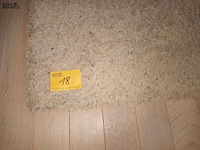 Lot 18 - hoogpolig vloertapijt - afbeelding 3 van  3