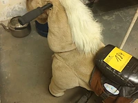 Lot 184 - speelgoed paard - afbeelding 2 van  4