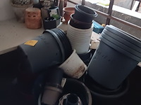 Lot 186 - bloempotten - afbeelding 1 van  7