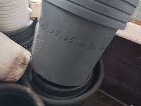 Lot 186 - bloempotten - afbeelding 2 van  7