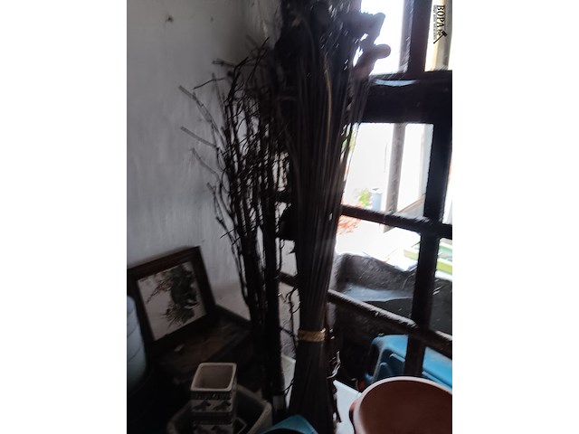 Lot 186 - bloempotten - afbeelding 7 van  7