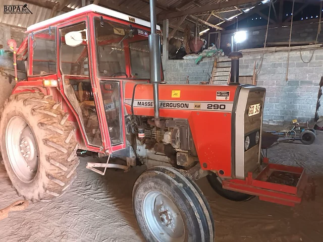 Lot 192 - tractor massey-ferguson 290 (1986-chass.u724504) - afbeelding 1 van  12