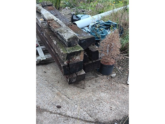 Lot 192 - treinbilzen - afbeelding 2 van  3